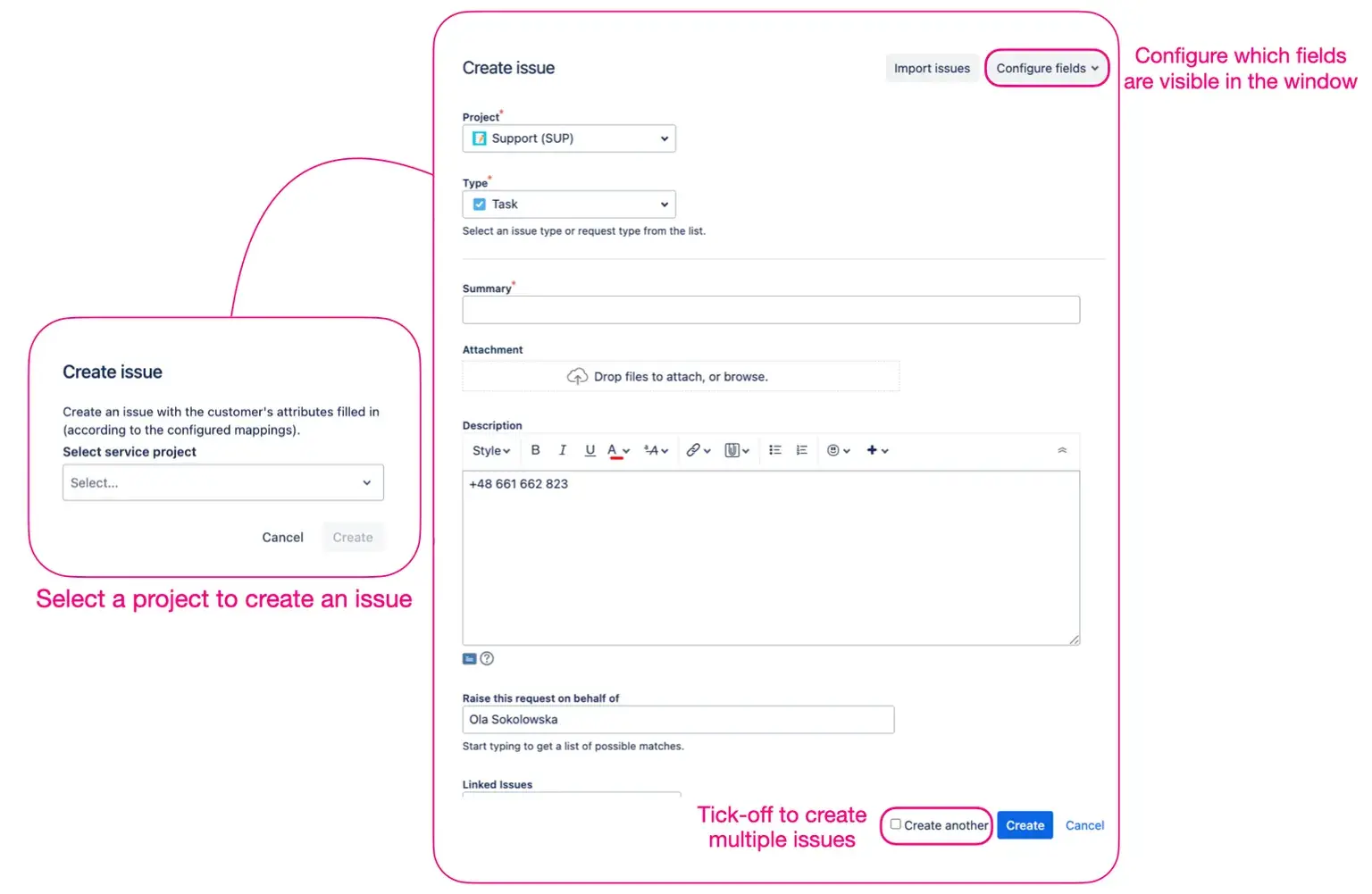 create-issues-with-data